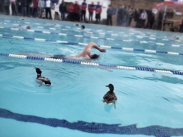 2013-05-27-thames-turbo-ducks