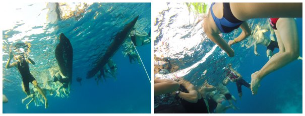 Plenty of legs hanging around beneath the Coffees of Hawaii boat