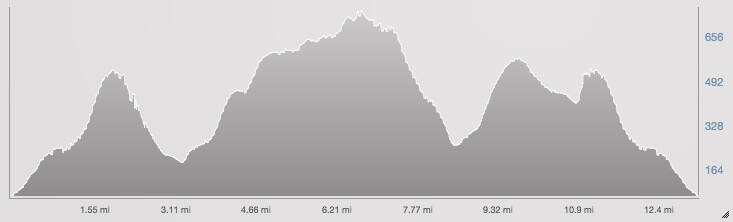 Course profile (in feet)